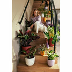 Blumentopf Elho Rot Kunststoff rund