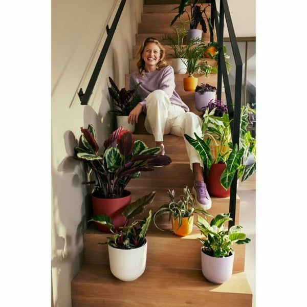 Blumentopf Elho Rot Kunststoff rund