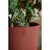 Blumentopf Elho Rot Kunststoff rund
