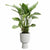 Blumentopf Elho