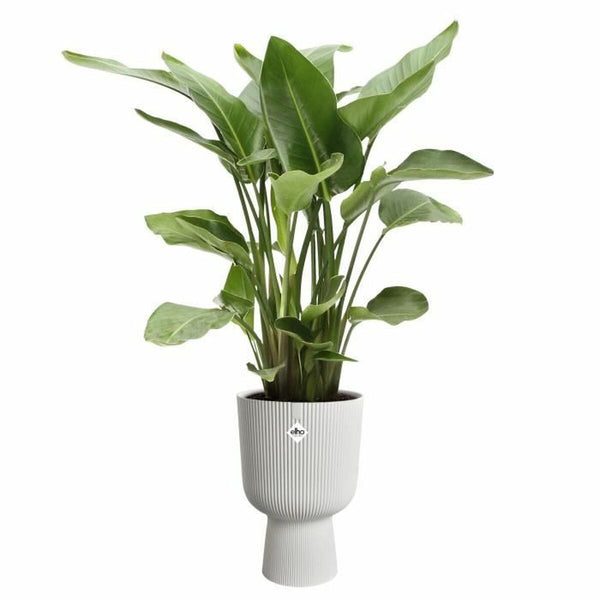 Blumentopf Elho