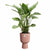 Blumentopf Elho