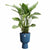 Blumentopf Elho