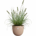 Blumentopf Elho Braun 30 x 29,5 x 25 cm