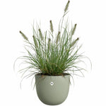Blumentopf Elho Sereh Rond 40 grün 39 x 33 cm