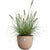 Blumentopf Elho Sereh Rond 40 Braun 39 x 33 cm