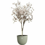 Blumentopf Elho