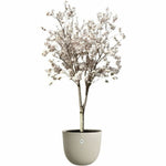 Blumentopf Elho