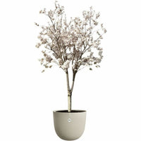 Blumentopf Elho