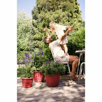 Blumentopf Elho rouge 30 x 29,5 x 22 cm