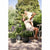 Blumentopf Elho Schwarz Anthrazit 35 x 34,5 x 26 cm