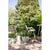 Blumentopf Elho Amiga Round 40 Weiß 39 x 29 cm