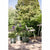 Blumentopf Elho grün 39 x 29 cm