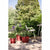 Blumentopf Elho Amiga Round 40 Rot rouge 39 x 29 cm