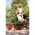Blumentopf Elho Amiga Round 40 Rot rouge 39 x 29 cm