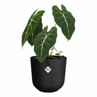 Blumentopf Elho