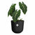 Blumentopf Elho