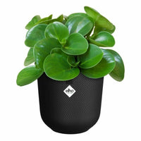 Blumentopf Elho