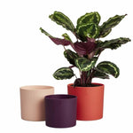 Blumentopf Elho