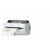 Hundebett Epson C11CJ55302A0
