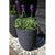 Blumentopf Capi Europe Schwarz Kunststoff rund 34 x 34 x 46 cm