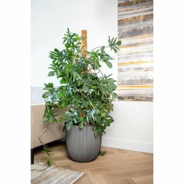 Blumentopf Capi Europe Anthrazit Kunststoff rund Ø 35 cm