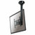 TV Halterung Neomounts FPMA-C200BLACK 40" 20 kg