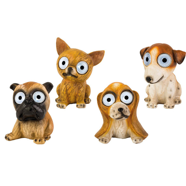 Sonnenlicht Lumineo Weiß Kaltweiß Hund