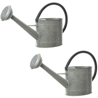 Giesskanne Decoris Grau Zink 1 L