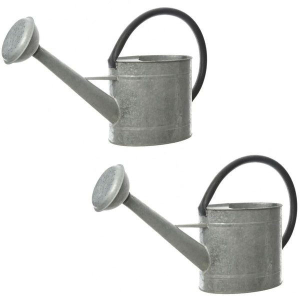 Giesskanne Decoris Grau Zink 1 L