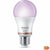 Smart Glühbirne Philips Wiz Full Colors F 8,5 W E27 806 lm (2200-6500 K)