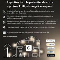LED-Lampe Philips Weiß G 400 lm 2 Stück (2200K) (6500 K)