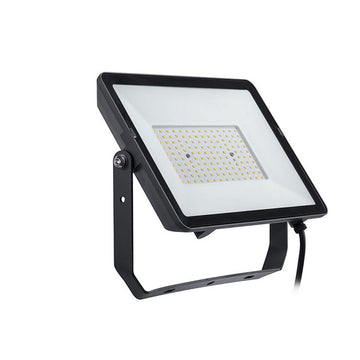 Flutlicht Philips Proyector Schwarz