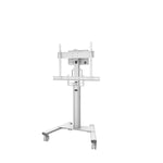 TV Halterung Neomounts AV2-500WH