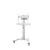 TV Halterung Neomounts AV2-500WH