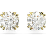 Damenohrringe Swarovski 5642595