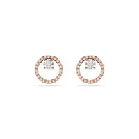 Damenohrringe Swarovski 5692263 Sterlingsilber 925
