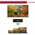 Smart TV Thomson 43QG4S14 43" QLED 4K Ultra HD