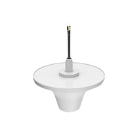 Wifi Antenne ZyXEL IBCACCY-ZZ0101F