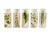 Behandlungscreme gegen Krampfadern 500 Cosmetics Varesil 100 ml