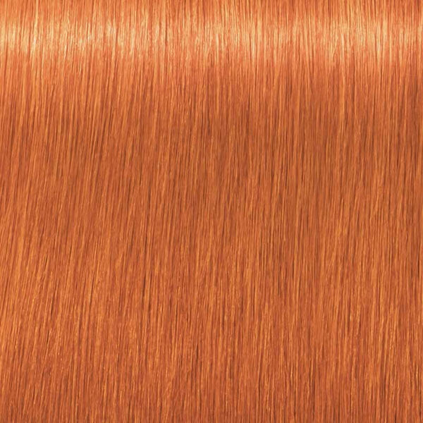 Dauerfärbung Schwarzkopf Igora Royal Nº 0-77 Nº 9.0-rubio muy claro 60 ml