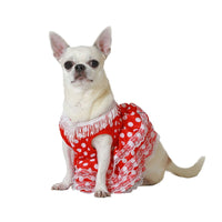 Hundekostüm Größe L Flamenco-Tänzerin