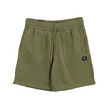 Kurze Hose Vans ORIGINAL STANDARDS LOOSE VN000G6ZAMB1 grün