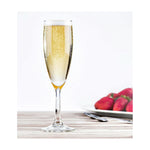 Champagnerglas La Mediterránea (24 Stück)