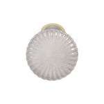 Flacher Teller Inde Talaier Ø 20,3 cm (24 Stück)