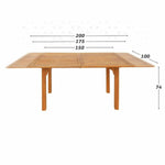 Asuziehbarer Tisch Aktive Akazienholz rechteckig 200 x 100 x 74 cm