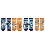 Socken Bluey Bunt