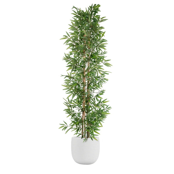 Baum Home ESPRIT Polyester Bambus 40 x 40 x 180 cm