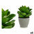 Dekorationspflanze Ibergarden YC1814571 Kunststoff 16 x 21 x 16 cm Grau grün (6 Stück)