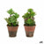 Dekorationspflanze Ibergarden XD16-849 Kunststoff Sukkulente 16 x 23 x 16 cm (12 Stück)